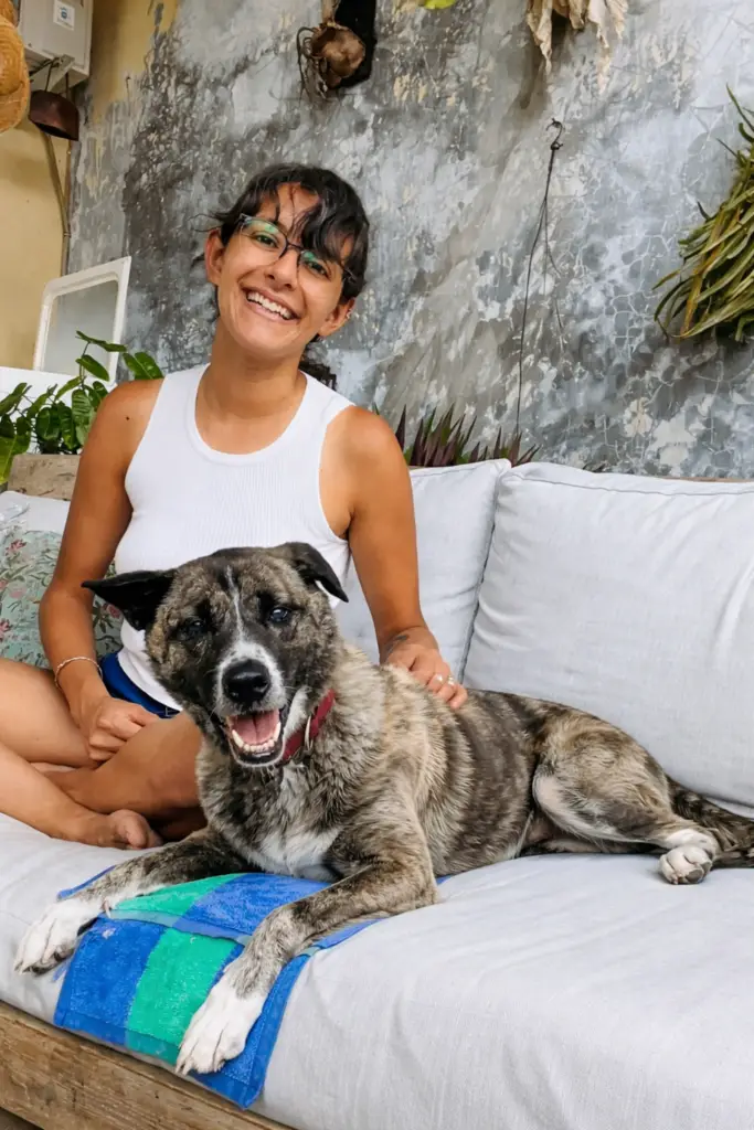 Petsitter Premium Cuidando a un Perro en su Hogar con Criterio Veterinario en CDMX