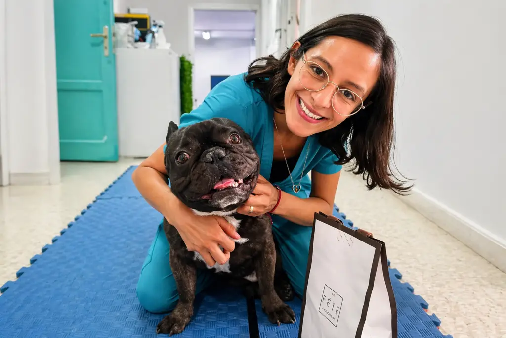Buster, Paciente Canino en Sesión de Fisioterapia Veterinaria a Domicilio con LucyFisioVet