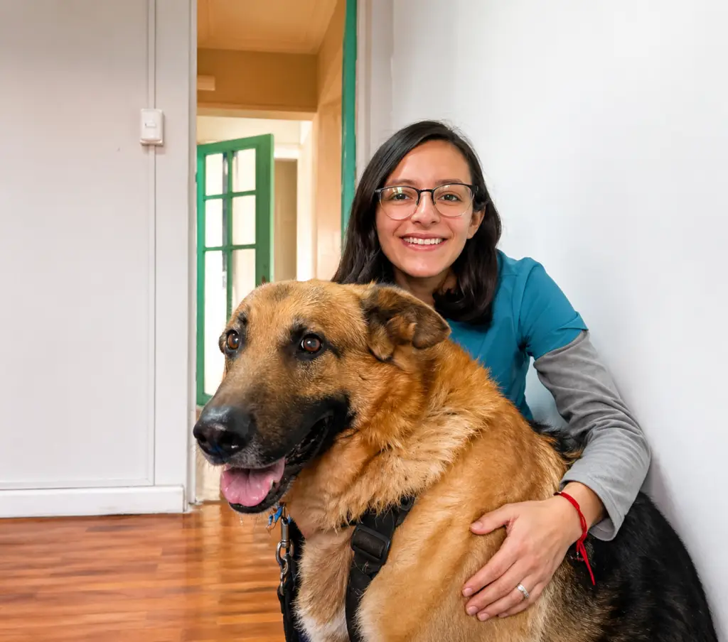 Dino, Paciente Canino en Sesión de Fisioterapia Veterinaria a Domicilio en CDMX