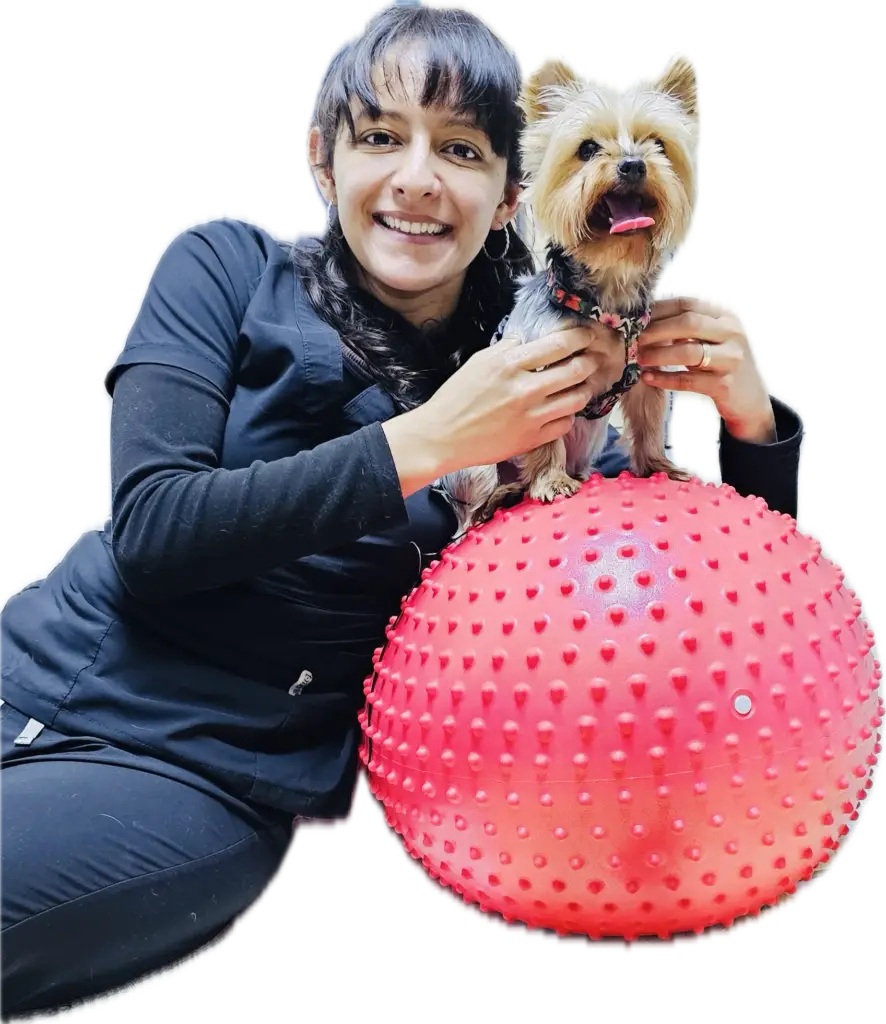 Lucy Fisio Vet Brindando Cuidado Integral y Personalizado a una Mascota en su Hogar
