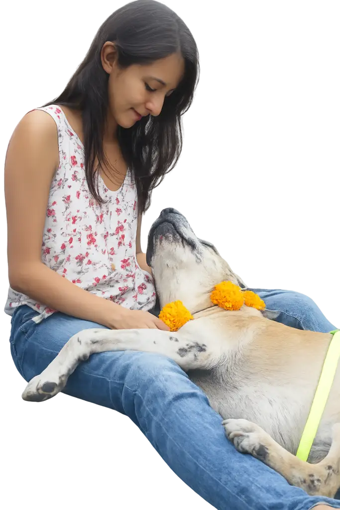Perro Feliz en su Hogar tras Sesión de Rehabilitación Veterinaria a Domicilio