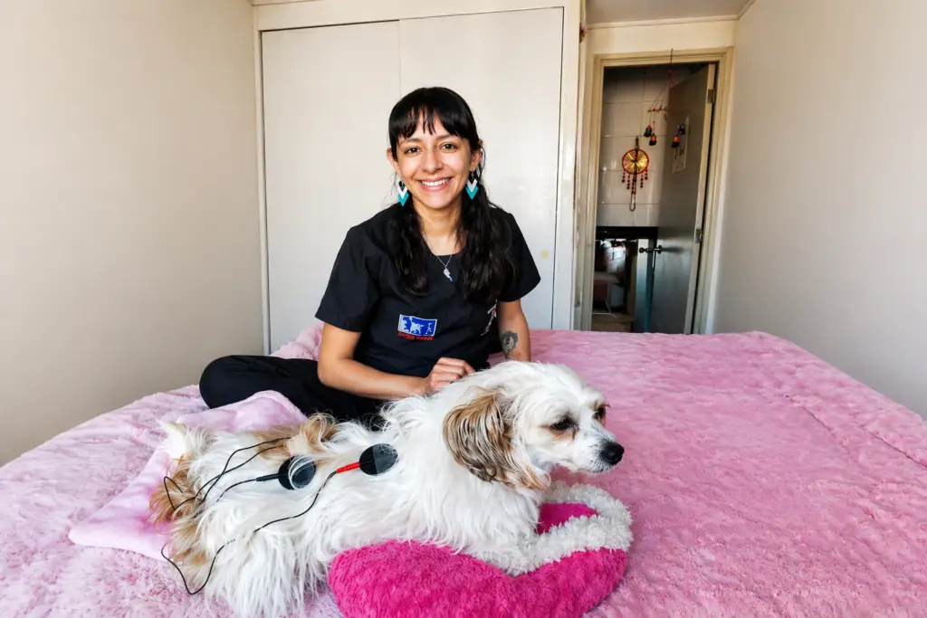 Perro Penior Siendo Evaluado por Presentar Pérdida de Movilidad y Masa Muscular