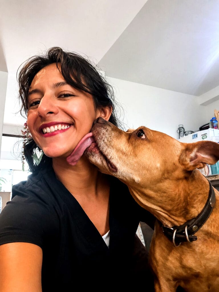 Ámbar, Paciente Canina en Sesión de Fisioterapia Veterinaria a Domicilio en CDMX