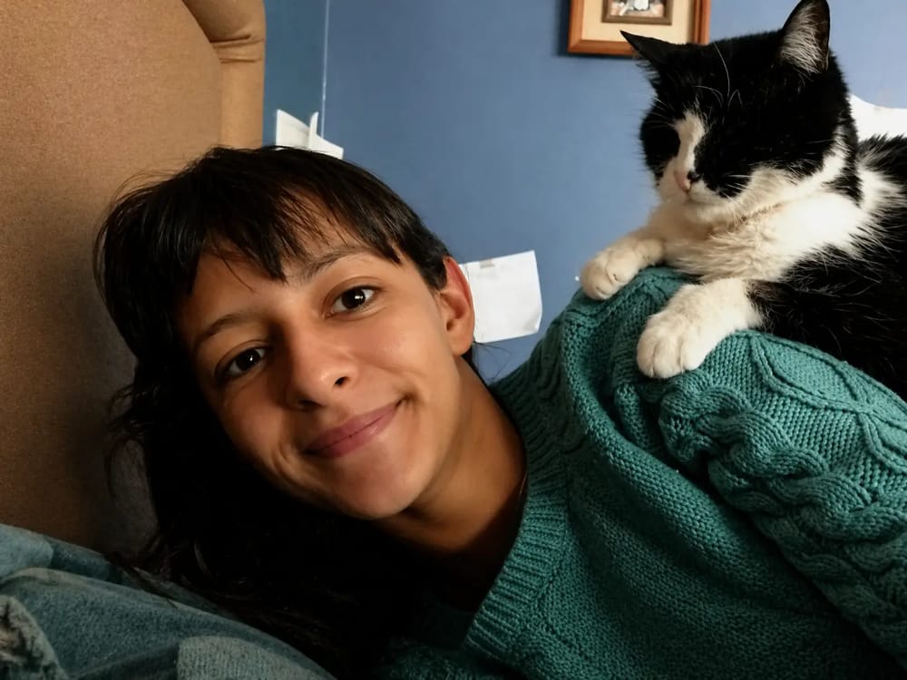 Lucy junto a Vaquita, Paciente Felina Atendida por el Servicio de Petsitter Premium a Domicilio