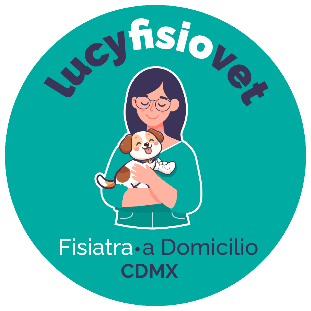 Favicon de LucyFisioVet