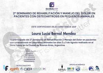 Constancia del 2º Seminario de Rehabilitación y Manejo del Dolor en Pacientes con Osteoartrosis, Argentina