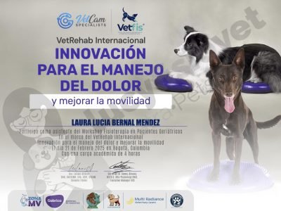 Lucy Fisio Vet Workshop en Fisioterapia en Pacientes geriátricos