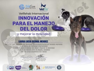 Lucy Fisio Vet Workshop en nEUROREHABILITACIÓN En lesiones Espinales