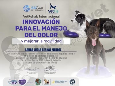 Lucy Fisio Vet Workshop en Toxina Botulínica en Pequeños Animales