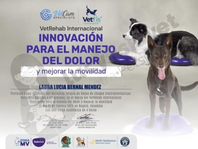 Lucy Fisio Vet Workshop Terapia de Ondas de Choque Electrohidráulicas