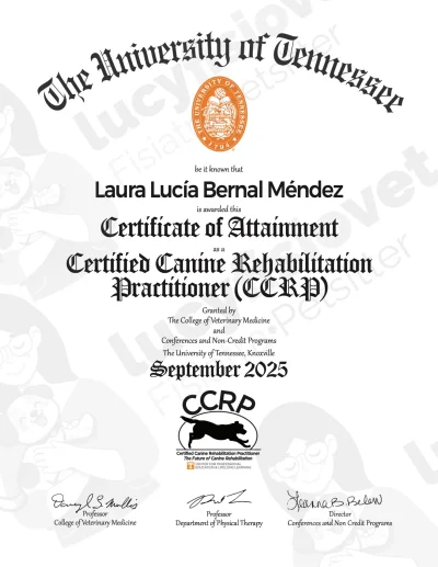 Certificado CCRP (Certified Canine Rehabilitation Practitioner) de Laura Lucía Bernal Méndez, Universidad de Tennessee