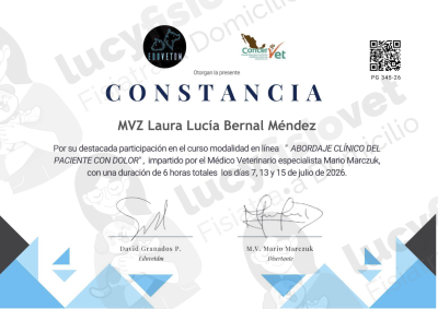 Constancia de Curso de Abordaje Clínico del Paciente con Dolor, modalidad en línea