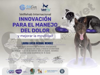 Constancia de Asistencia a VetRehab Internacional: Innovación para el Manejo del Dolor y Mejora de la Movilidad, Colombia