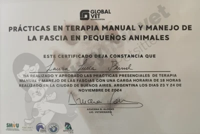 Diploma de Prácticas Presenciales en Manejo de la Fascia en Pacientes Veterinarios, Buenos Aires