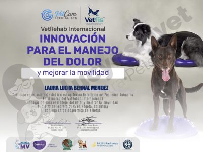 Diploma de Workshop de Toxina Botulínica en Pequeños Animales, Colombia