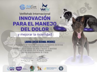 Constancia de Workshop de Fisioterapia en Pacientes Geriátricos, Colombia