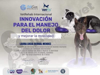 Diploma de Workshop de Neurorrehabilitación en Lesiones Espinales, Colombia